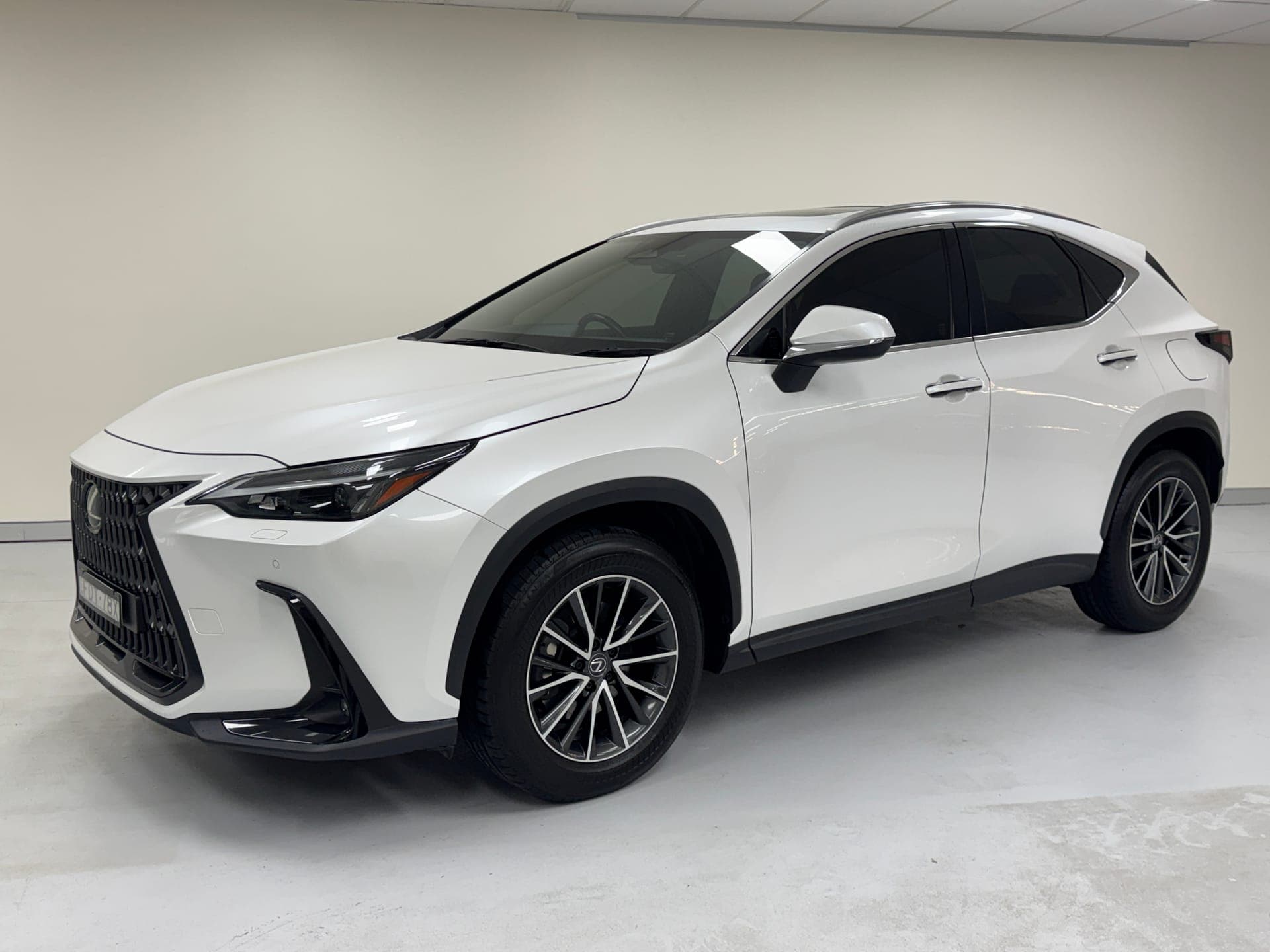 2023 Lexus NX250 2WD AAZA20R in White — exterior rear