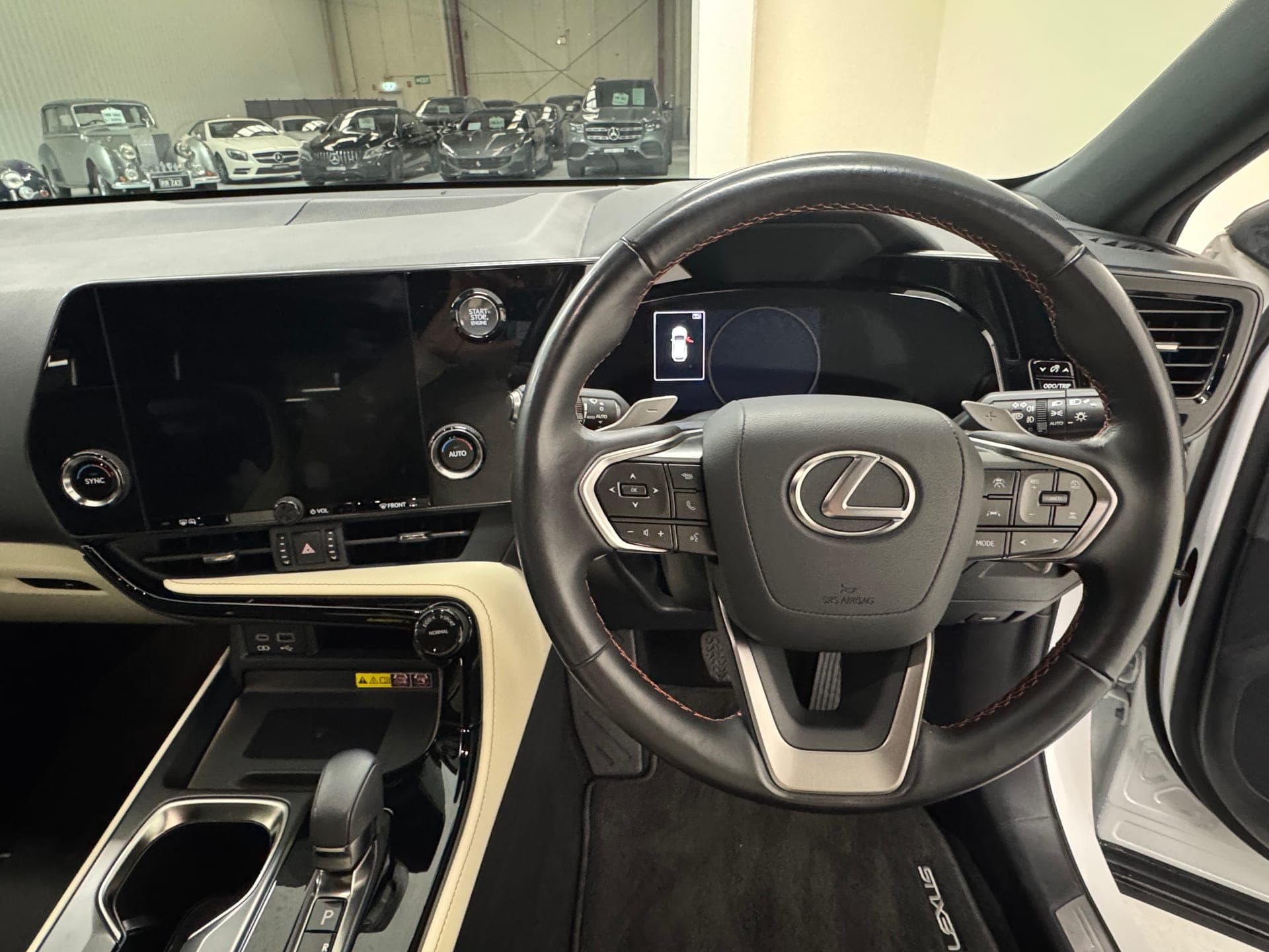 2023 Lexus NX250 2WD AAZA20R in White — photo 12