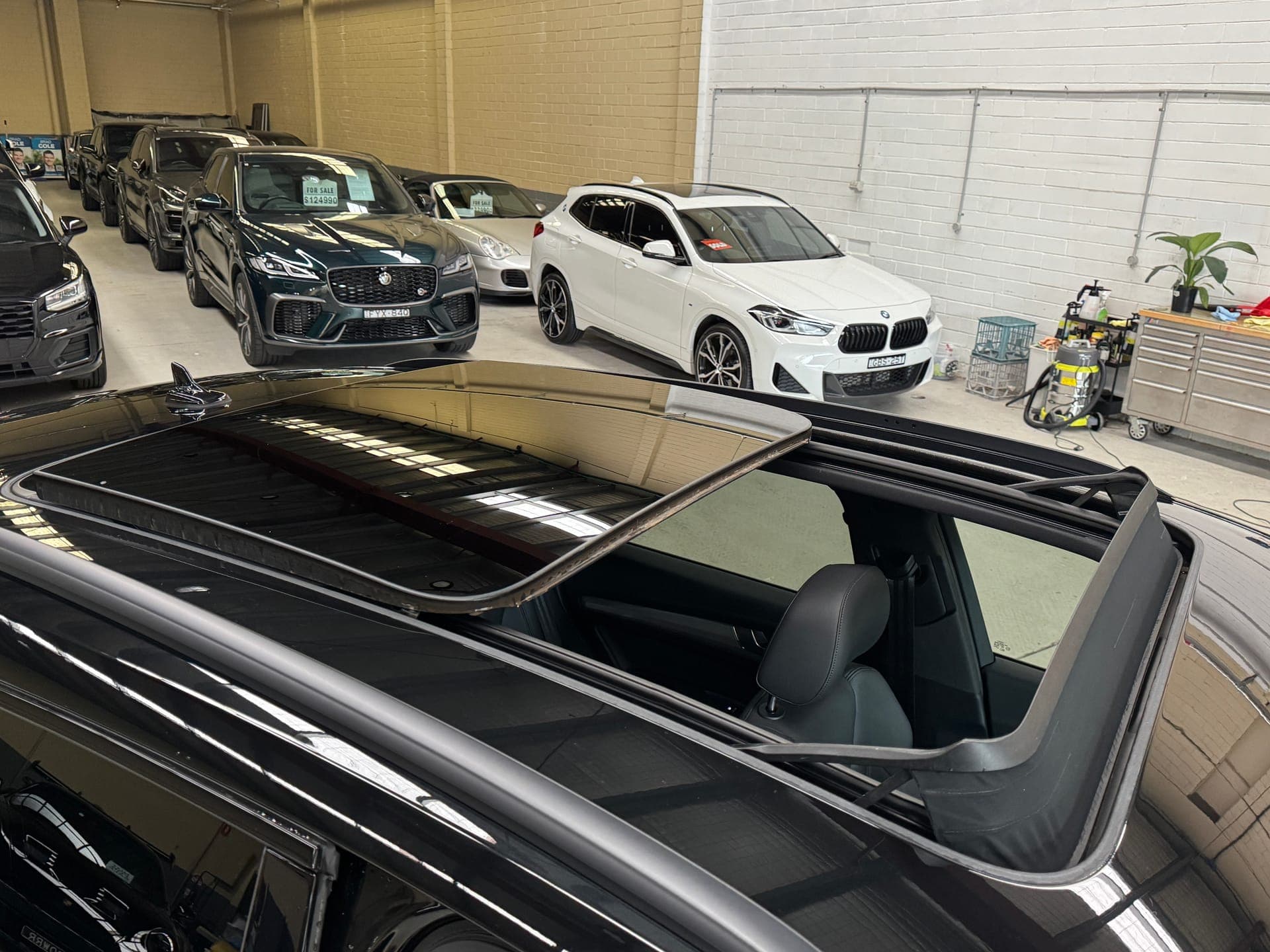 2023 Audi Q5 40 TDI Quattro Sport MHEV in Black — photo 16